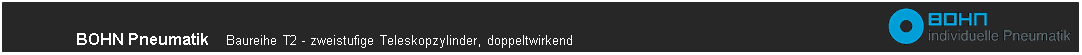 Titel: Pneumatik Teleskopzylinder T2 - Beschreibung: Pneumatik Teleskopzylinder T2 Kasten mit Logo